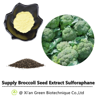 Ekstrak Tumbuhan Brokoli Serbuk Sulforaphane 1% 13% 20% 28%