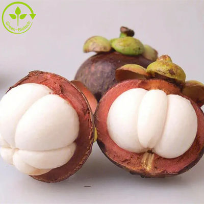 Alpha Mangostin 10% - 95% Ekstrak Tumbuhan Alami Bubuk Ekstrak Buah Manggis