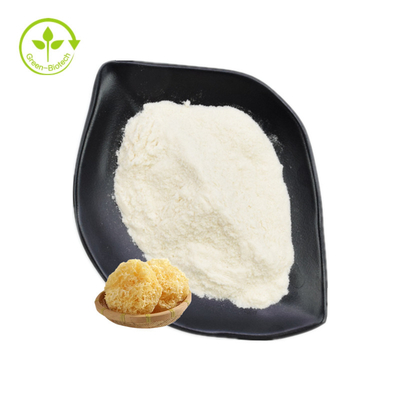 Tremella Fuciformis Ekstrak Bubuk Polisakarida 30% - 50%