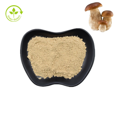 Ekstrak Jamur Penny Bun Porcini Alami Bubuk Boletus Murni 99%