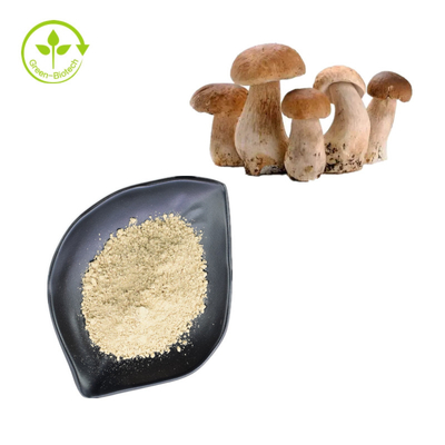 Ekstrak Jamur Penny Bun Porcini Alami Bubuk Boletus Murni 99%
