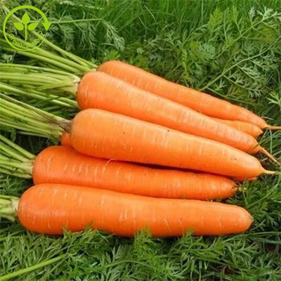 Bahan Tambahan Makanan Pewarna Fermentasi Beta Carotene Powder 10%