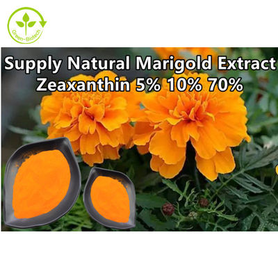 Tumbuhan Alami Bunga Marigold Mengekstrak Zeaxanthin Powder 10%