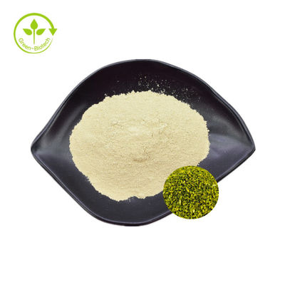 Pasokan Pabrik sophora japonica ekstrak Rutin 95% Sophora Japonica Ekstrak Rutin Powder
