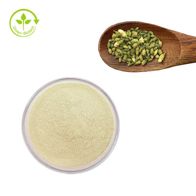 Pasokan Pabrik sophora japonica ekstrak Rutin 95% Sophora Japonica Ekstrak Rutin Powder