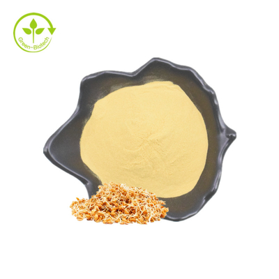 Food Grade Natural Wheat Germ Extract Powder Spermidine Powder 124-20-9 Suplemen