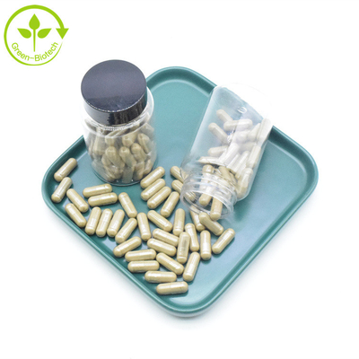 Suplemen Ekstrak Ajuga Turkestanica Murni 2% 10% 40% 500mg Kapsul Turkesterone