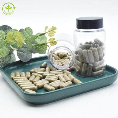 Private Label Natural Ajuga Turkestanica Extract Powder Kapsul Turkesterone 500mg Murni