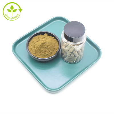 Suplemen OEM Ajuga Turkestanica Turkesterone Private Label 10% 20% Ekstrak Turkesterone Kapsul Turkesterone