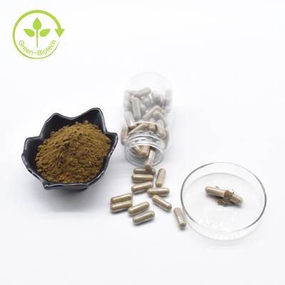 Pabrik Grosir Turkesterone Murni 40% Bubuk Label Pribadi Ajuga Kapsul Turkesterone 500mg