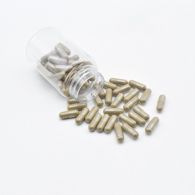 Suplemen Binaraga Suplemen Turkesteron 500mg Ajuga Kapsul Turkesteron
