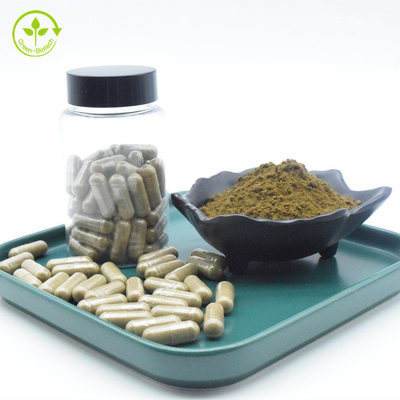 Ajuga Turkestanica Ekstrak Kapsul Turkesterone Hydroxypropyl Beta Cyclodextrin Capsule 2% 10%