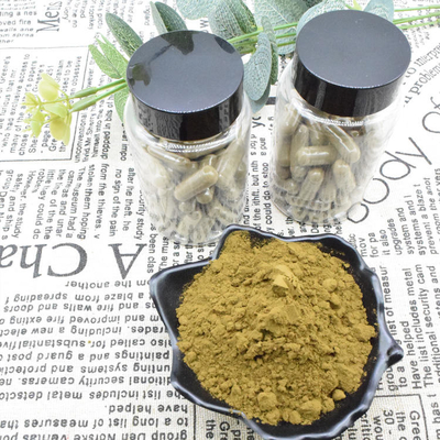 Ajuga Turkestanica Extract Powder 2% Beli Turkesterone