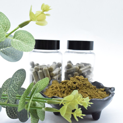 Ajuga Turkestanica Extract Powder 2% Beli Turkesterone