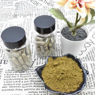 Ajuga Turkestanica Ekstrak Bubuk 2% 10% Ekstrak Turkesterone