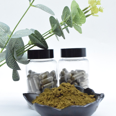 Grosir Massal 100% Murni 2% 10% Ajuga Turkestanica Extract Powder Turkesterone Powder