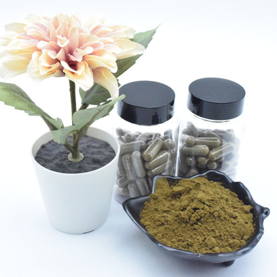 Tanaman Ekstrak Ajuga Turkestanica Ekstrak Bubuk 40% 500mg/60caps/Botol Kapsul Turkestan