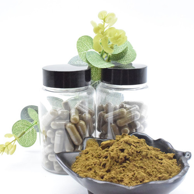 Ekstrak Herbal Ajuga Turkestanica Ekstrak Turkesterone Powder