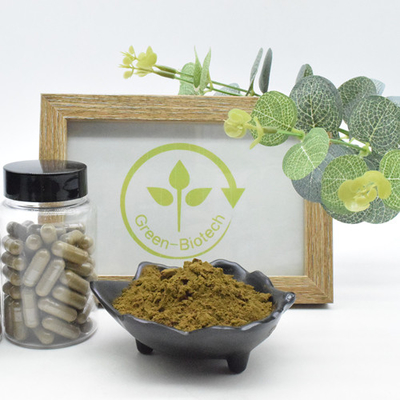 100% Bubuk Turkesteron Alami 2% 10% 40% Ekstrak Ajuga Turkestanica