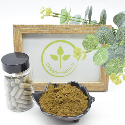 2% 10% Kualitas Tinggi 100% Alami Turkesterone Ajuga Turkestanica Ekstrak Bubuk Turkesterone