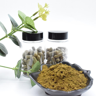 Top Quality Ajuga Turkesterone Powder 10 Ekstrak Turkesterone Ekstrak Tumbuhan Turkesterone