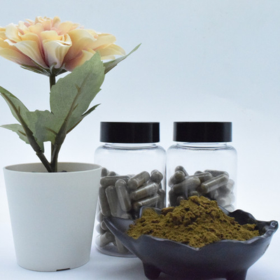 Murni ajuga turkestanica ekstrak turkesterone 2% 10% 40% bubuk turkesterone