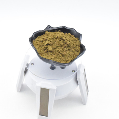 Murni ajuga turkestanica ekstrak turkesterone 2% 10% 40% bubuk turkesterone