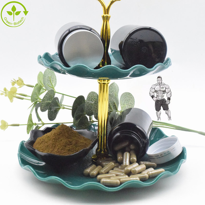 Organik Alami Ajuga Turkestanica Ekstrak Bubuk 10% Kapsul Turkesterone