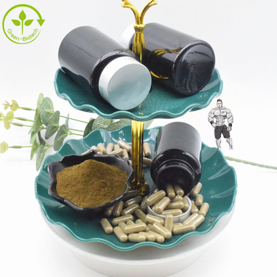 Suplemen Makanan Ekstrak Turkestanica Ajuga 10% 20% Bubuk Turkesterone