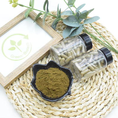 Suplemen Makanan Ekstrak Turkestanica Ajuga 10% 20% Bubuk Turkesterone