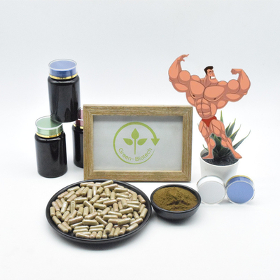 Pabrik Massal Ekstrak Bubuk 1% Ekstrak Turkesterone Bubuk Kemurnian Tinggi Murni 2% 10% 20% 40% Turkesterone
