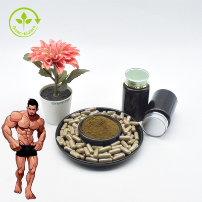 Top Quality Ajuga Turkesterone Powder 10 Ekstrak Turkesterone Turkesterone