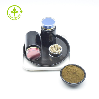 Private Label Pure Ajuga Turkestanica Extract 10% Bubuk Turkesterone