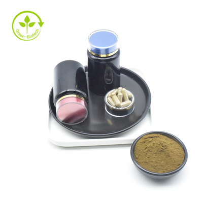 Ekstrak ISO Grade Ajuga Turkestanica 20% Harga Serbuk Turkesterone