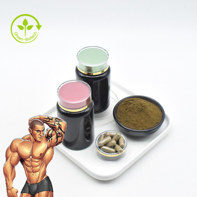 Massal 2% 10% Ajuga Turkestanica Root Extract 1% Bubuk Ekstrak Turkesterone
