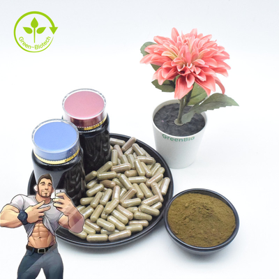 Suplemen Pure Ajuga Turkestanica Extract Bulk 2% 10% Turkesterone Powder