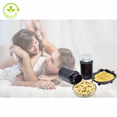 Tumbuhan Ekstrak Kapsul Tongkat Ali 500 mg/60 caps/Botol Eurycomanone Powder 1% 3% 5% 10% Ekstrak Tongkat Ali