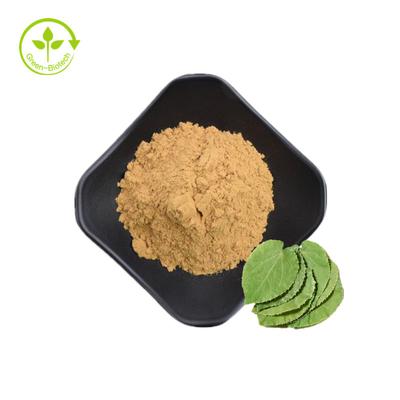 China Supplier Horny Goat Epimedium Extract 5% Icariin Dengan Sampel Gratis