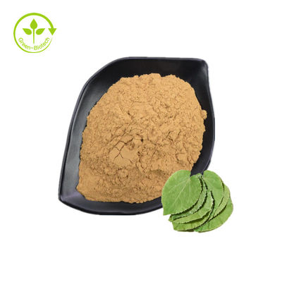 Ekstrak Epimedium / Ekstrak Biji Gulma Kambing Horny Icariin 10%, 50%, 98% Bubuk Epimedium