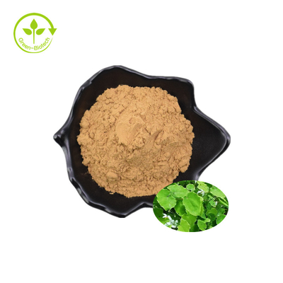 Grosir Tanaman Ekstrak Horny Goat Weed Extract Powder Icariin Epimedium Extract