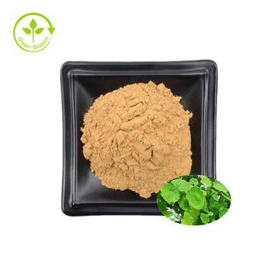 Ekstrak Epimedium 98% Icaritin Honey Goat Weed Extract 98% Icaritin