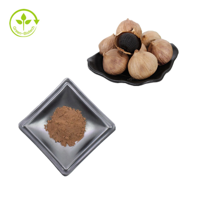 Pemasok Cina Ekstrak Bawang Putih Hitam Fermentasi Kapsul Bubuk Ekstrak Bawang Putih Hitam