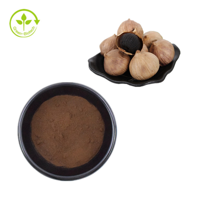 Grosir Massal Ekstrak Bawang Putih Hitam Alami Bubuk Bawang Putih Hitam