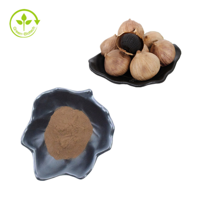 Grosir Massal Ekstrak Bawang Putih Hitam Alami Bubuk Bawang Putih Hitam