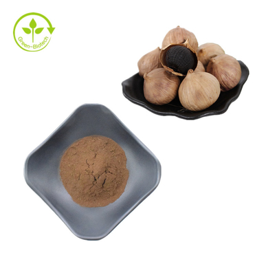 Bubuk Bawang Putih Hitam Grosir Massal Ekstrak Bawang Putih Hitam Alami Larut Air