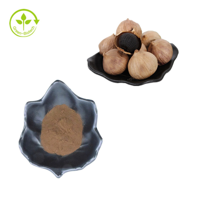Bubuk Bawang Putih Hitam Grosir Massal Ekstrak Bawang Putih Hitam Alami Larut Air