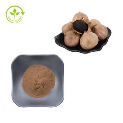 Pasokan Allicin Black Garlic Extract Powder/Ekstrak Premium Bawang Putih Hitam