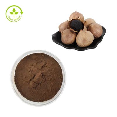 Pasokan Allicin Black Garlic Extract Powder/Ekstrak Premium Bawang Putih Hitam