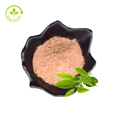 100% Organik Alami Segar Dan Ekstrak Tumbuhan Dari Ekstrak Tumbuhan Daun Untuk Menurunkan Berat Badan Ekstrak Teh Hijau