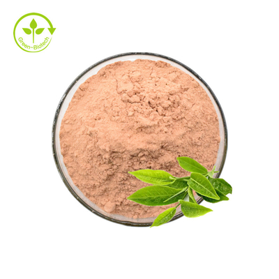Teh Hijau Organik Ekstrak Teh Instan Hijau Bubuk EGCG Powder Oleh Pabrik GMP